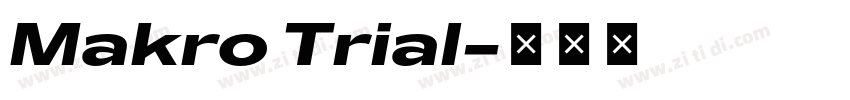 Makro Trial字体转换